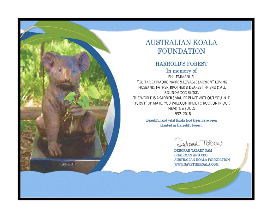 Phil's Koala